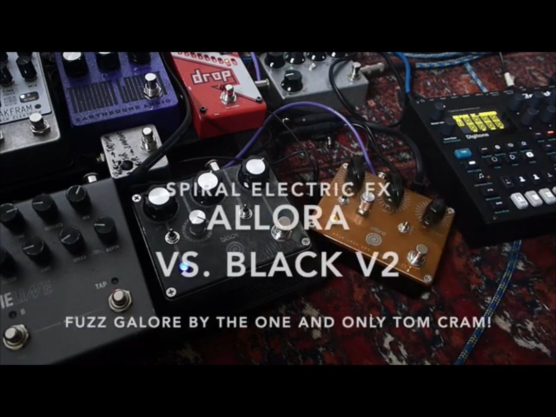 Joel Gilardini / Black II and Allora Comparison